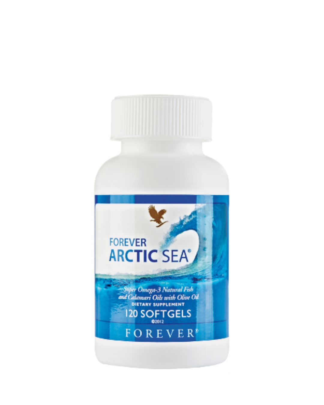 Forever Arctic Sea (120 N)